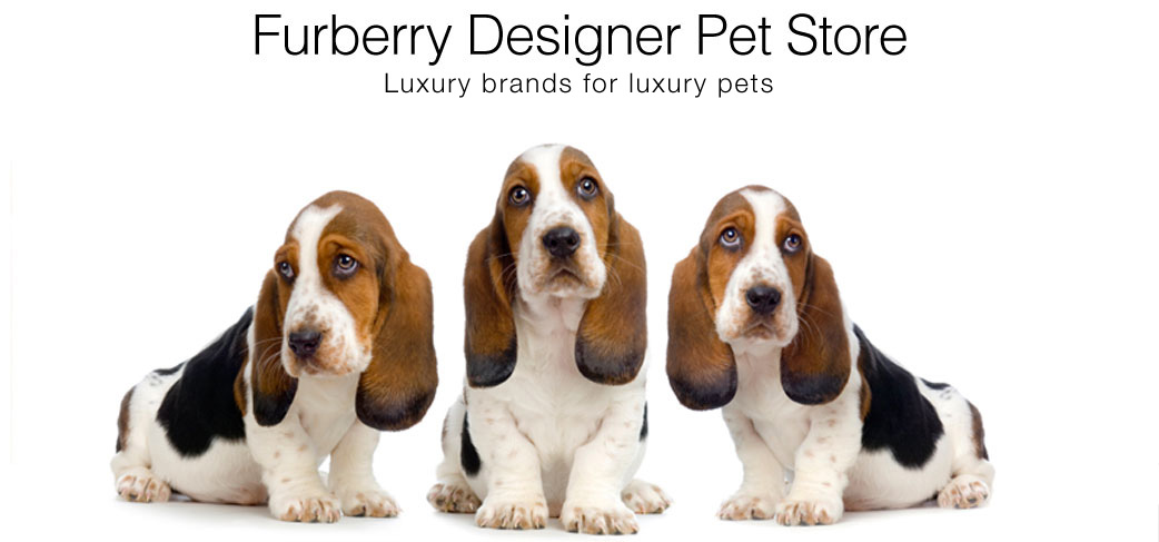 basset hounds banner